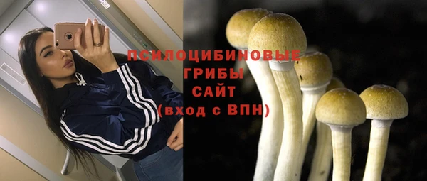 ешки Дмитровск