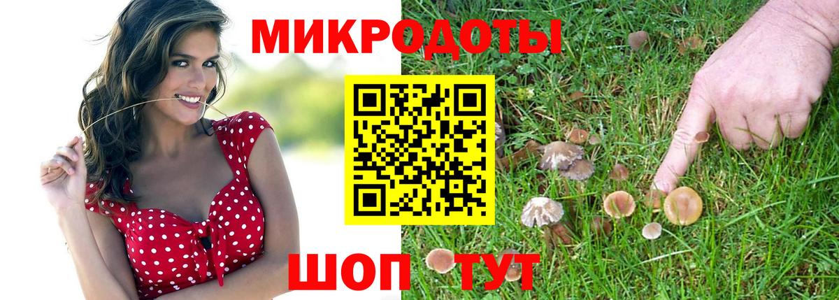 Галлюциногенные грибы ЛСД Заволжье