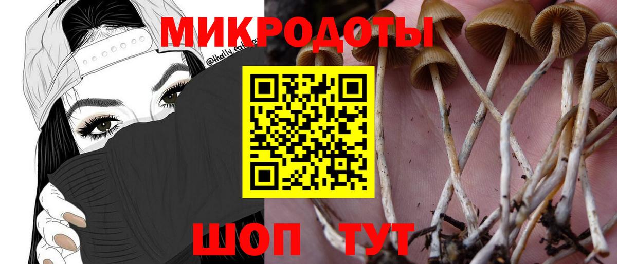 Заволжье  Галлюциногенные грибы Magic Shrooms  Вход с VPN 