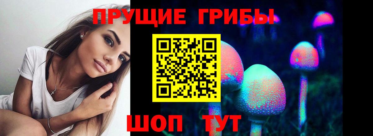 Псилоцибиновые грибы прущие грибы  Галлюциногенные грибы ЛСД  Заволжье 
