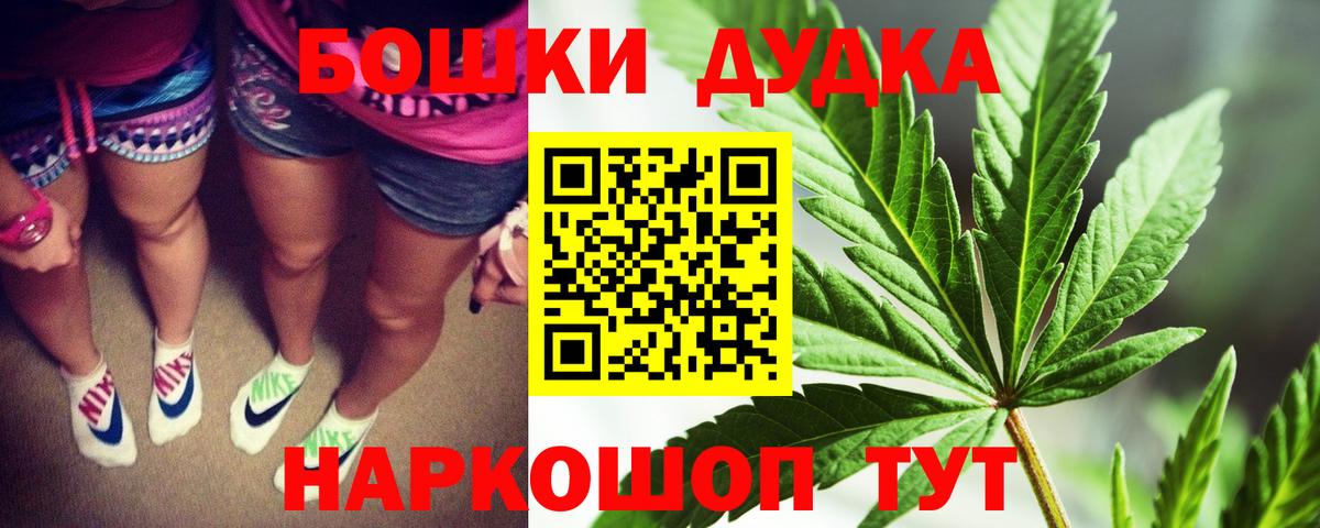 Конопля ГИДРОПОН  Вход с VPN  Заволжье  Конопля план 
